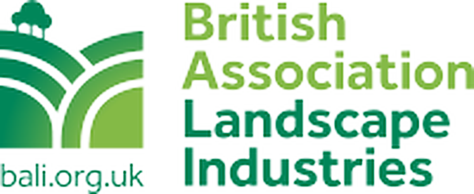 BALI logo with website